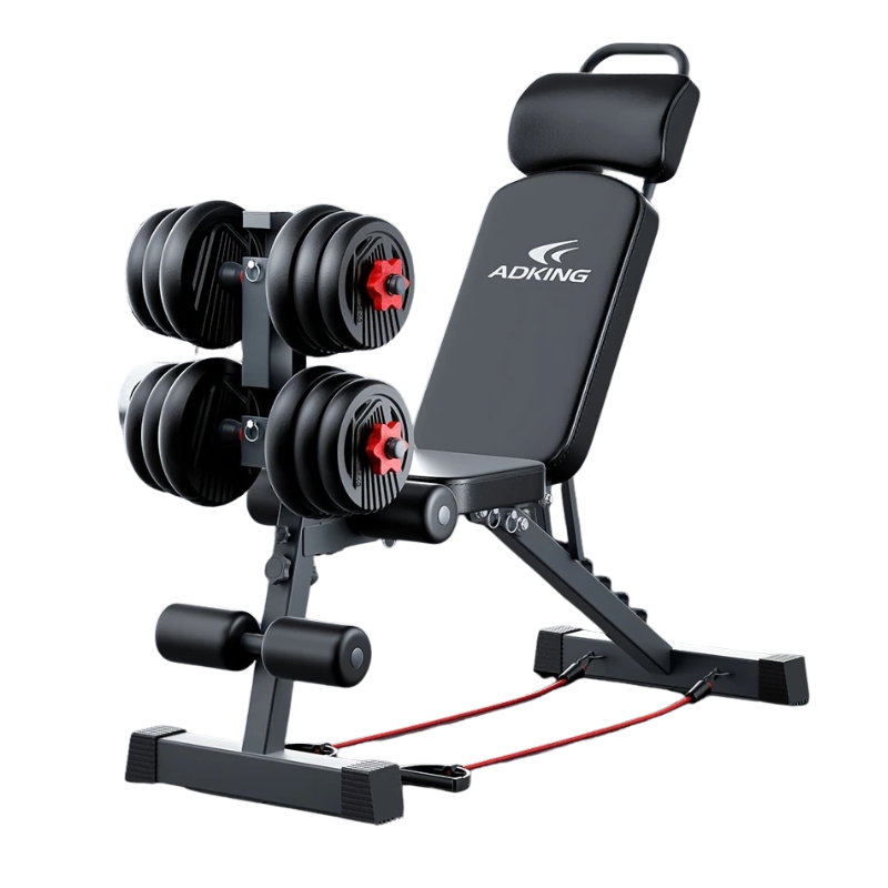 Dumbbell Sit-Up Bench Home Gym Equipment-0